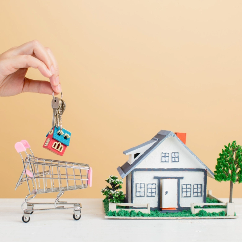 Buy a new home in Wellington